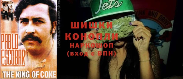 шишки Дмитров