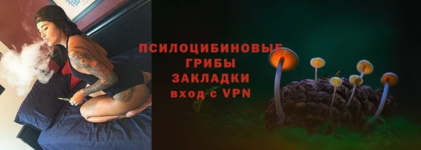 таблы Дмитриев