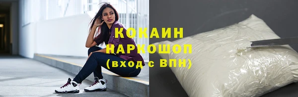 шишки Дмитров