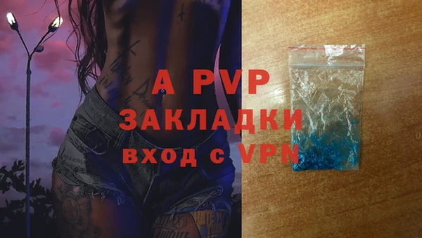 таблы Дмитриев