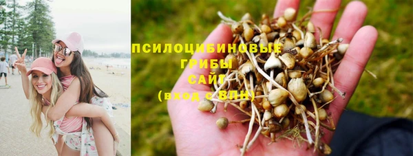 шишки Дмитров