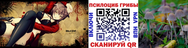 Псилоцибиновые грибы GOLDEN TEACHER  Купить где  Карасук 