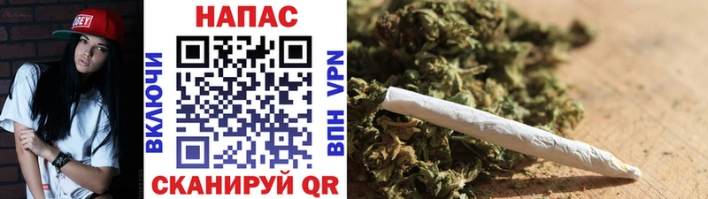 Купить закладки  Карасук  Каннабис Ganja 